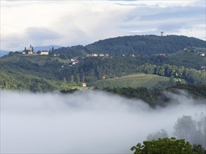 Morning fog over hilly landscape, view from Silberberg, near Leibnitz, Styria, Austria, Europe