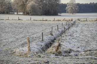 A frozen field with a fence and trees in the background in a frosty winter landscape, Frosty winter