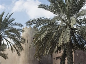 Tall palm trees stand in front of a historic fortress with medieval architecture under a cloudy
