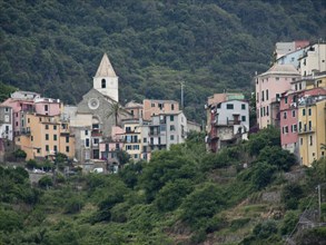 Church and colourful buildings on a green hill with dense vegetation, Bari, Italy, Europe