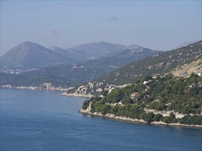 Panoramic view of a forest-covered coastline with mountains in the background and the blue sea in