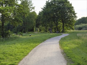 A winding path leads through a green meadow, lined with trees, green trees and shrubs by a small