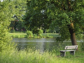 Wooden park bench under a tree on the bank of a river, surrounded by green landscape, small lake