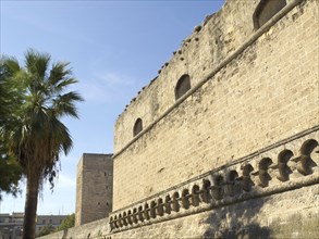 Detail of an old fortress wall with a palm tree and blue sky in the background, The city of Bari on