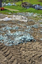 Remains of plastic film, environmental pollution, Allgaeu, Bavaria, Germany, Europe