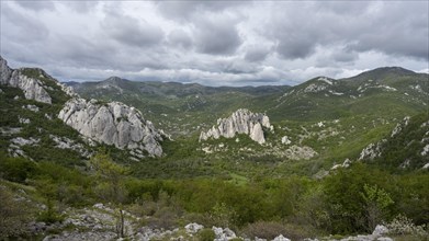 Typical limestone cliffs, Velebit nature park Park, Zadar, Dalmatia, Croatia, Europe