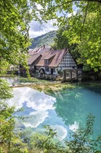 Blautopfquelle, a natural spring with turquoise-coloured water. Beautiful natural surroundings in