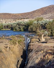 Kunene River with green vegetation in dry red mountain landscape, waterfall and African Baobab