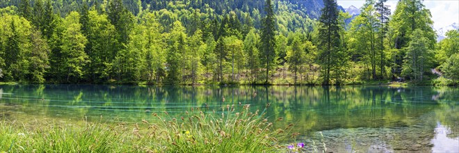 Christlessee, a mountain lake in the Trettachtal valley, near Oberstdorf, Oberallgaeu, Allgaeu,