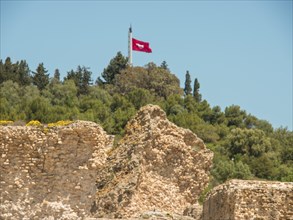 Remains of an ancient wall with waving flag and surrounding trees, Tunis in Africa with ruins from