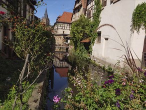 Historic half-timbered houses with floral decorations in Alsace, Wissembourg, France, Europe