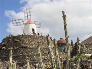 Historic windmill with cacti and stone walls against a blue sky, Madeira, Portugal, Europe
