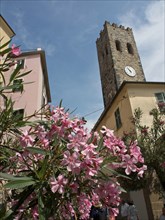Urban scenery with a historic tower and pink flowering plants in the foreground under a blue sky,