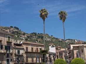 A sunny view of an Italian village with palm trees, houses and hilly landscape under a blue sky,