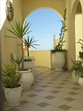 A Mediterranean terrace with many plants and white pots under a blue sky, The volcanic island of