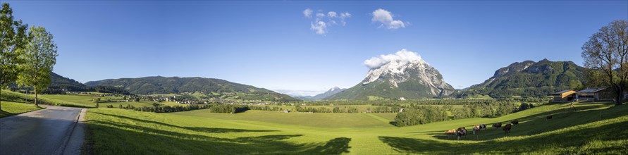 Road leads through a meadow, behind the Grimming, panoramic view, Styria, Austria, Europe