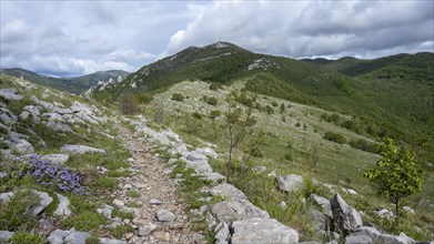 Hiking trail in the Velebit nature park Park, Zadar, Dalmatia, Croatia, Europe