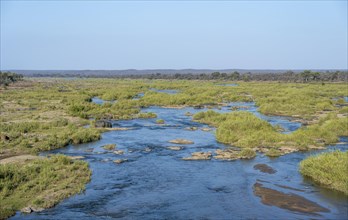 Olifants River, Kruger National Park, South Africa, Africa