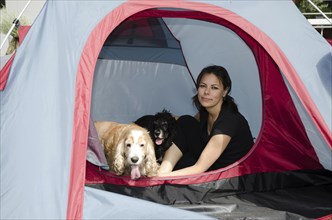 Woman Making Camping and Sitting Inside a Tent with Her Two Cute Cocker Spaniel Dogs in a Sunny Day