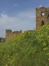 A ruined castle with a waving flag on a hill surrounded by grass and flowers, old ruin by the sea