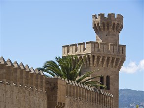 A castle with a stone wall and a tower, in the background palm trees, mountains and a blue sky,