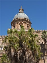 Cathedral with a large dome and palm trees in front of it under a blue sky, palermo in sicily with