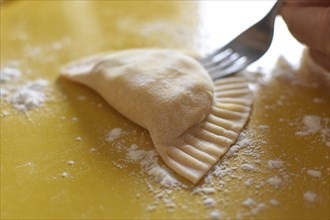 Preparation of fresh homemade pasta mezzaluna with ricotta, dumplings are sealed with a fork
