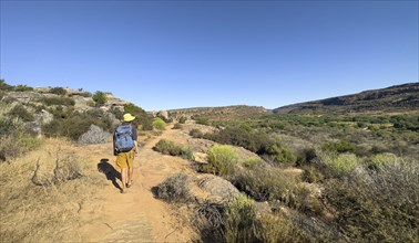 Hikers on the Seville Art Rock Trail, dry landscape with rock formations, Cederberg Mountains, near