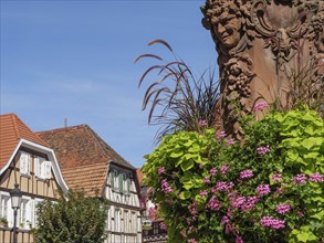 Historic half-timbered houses with floral decorations in Alsace, Wissembourg, France, Europe