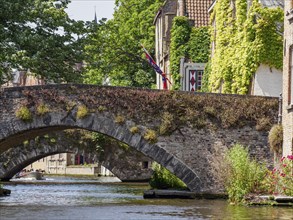 Historic stone bridge over a quiet canal, surrounded by green trees and ivy, historic city by the