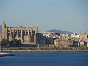 Large cathedral on the coast with surrounding city buildings, palma de Majorca with its historic