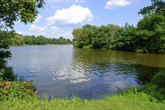 A natural lake with an overgrown shore and surrounded by green vegetation under a blue sky, small
