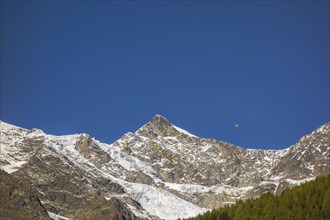 Snow covered mountain peak under clear blue sky with forest in the foreground, bare mountain peak