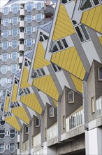 Cube houses, Rotterdam, Zuid-Holland, Netherlands