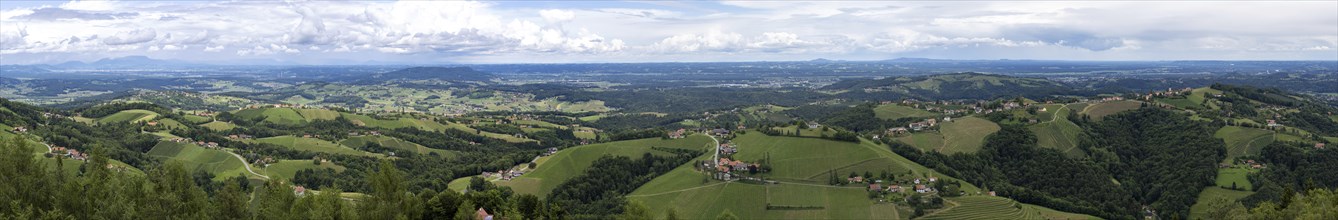 Hilly landscape, vineyards, panoramic view, view from the Demmerkogel lookout point, St.