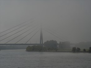 A foggy bridge over a river reaching into the gloomy sky with taut ropes, fog at the rhine river