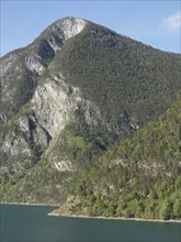 Large mountain with forested slopes dropping into the green water, surrounded by rocks and a clear