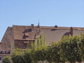 Picture of an old town quarter with terracotta-coloured roofs and green trees under a clear sky,