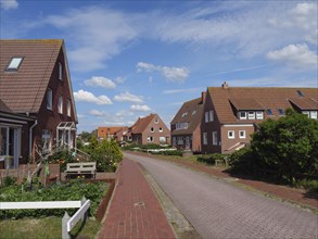 A cobbled street crosses a residential area with red brick houses and flowering gardens under a
