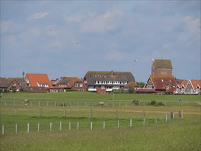 Green fields and fences with a village in the background, sky slightly cloudy, Baltrum Germany