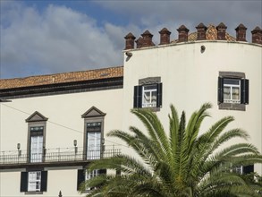 Historic colonial building in front of a cloudy sky, a palm tree in the foreground, Funchal,