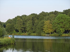A quiet, wooded lake with a natural green shore and reflecting water in a peaceful summer