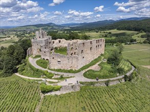 Aerial view of Staufen Castle, on a vineyard, Schlossberg, Staufen im Breisgau, Markgraeflerland,