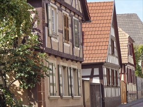 Row of traditional half-timbered houses along a narrow alley on a sunny day, historic half-timbered