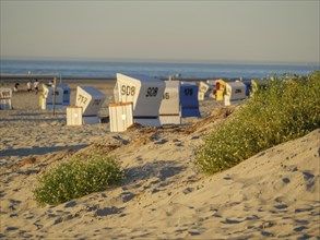 Wide sandy beach with beach chairs, small plants and the sea in the background, setting sun on the