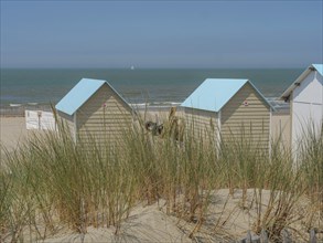 Beach huts with blue roofs, surrounded by sand dunes and long grass by the sea, dunes and beach