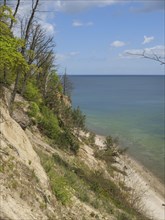 A steep coastal slope, lined with green trees, overlooking a small stretch of beach and the calm