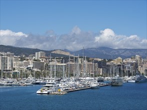 Harbour with numerous yachts and boats in the foreground and a city with mountains in the