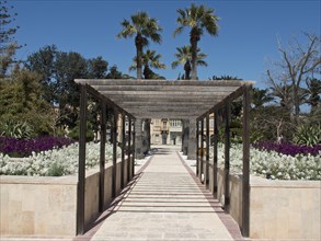 A well-kept park path with palm trees and flowers leading to an architectural building under a