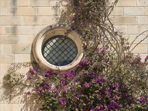 A round window on a stone wall, surrounded by ivy and purple flowers, the town of mdina on the